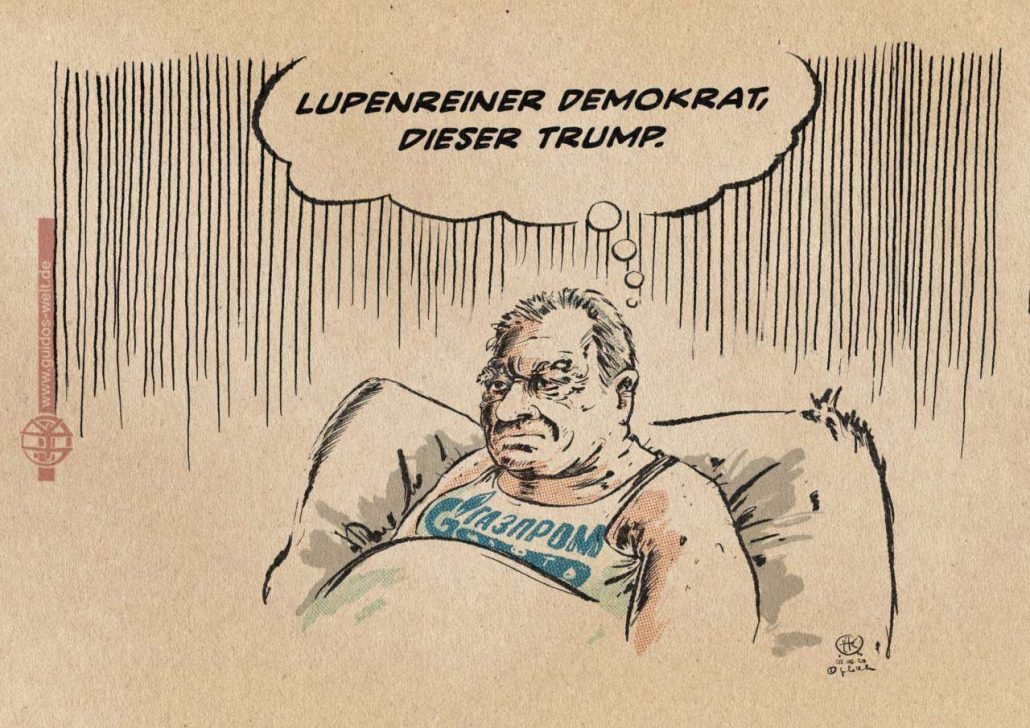 Demokratieorakel