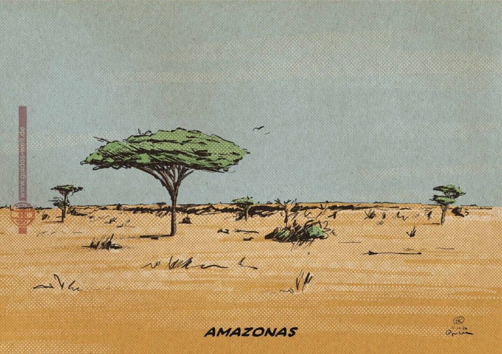 Amazonas Savanne