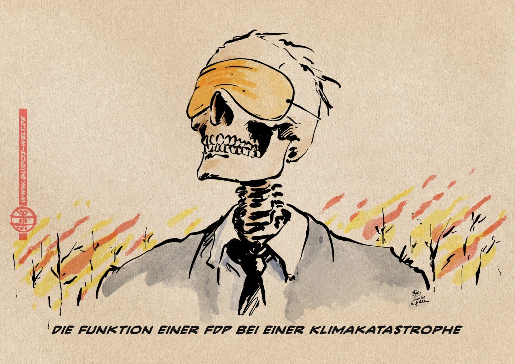 Die Funktion der FDP