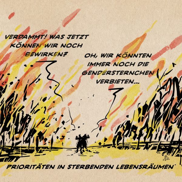 Illustration: zwei kleine Menschlein inmitten einer lichterloh bis zum Horizont brennenden Szenerie. Person 1: Verdammt! Was können wir jetzt noch tun? person 2: Oh, wir könnten immer noch die Gendersternchen verbieten…