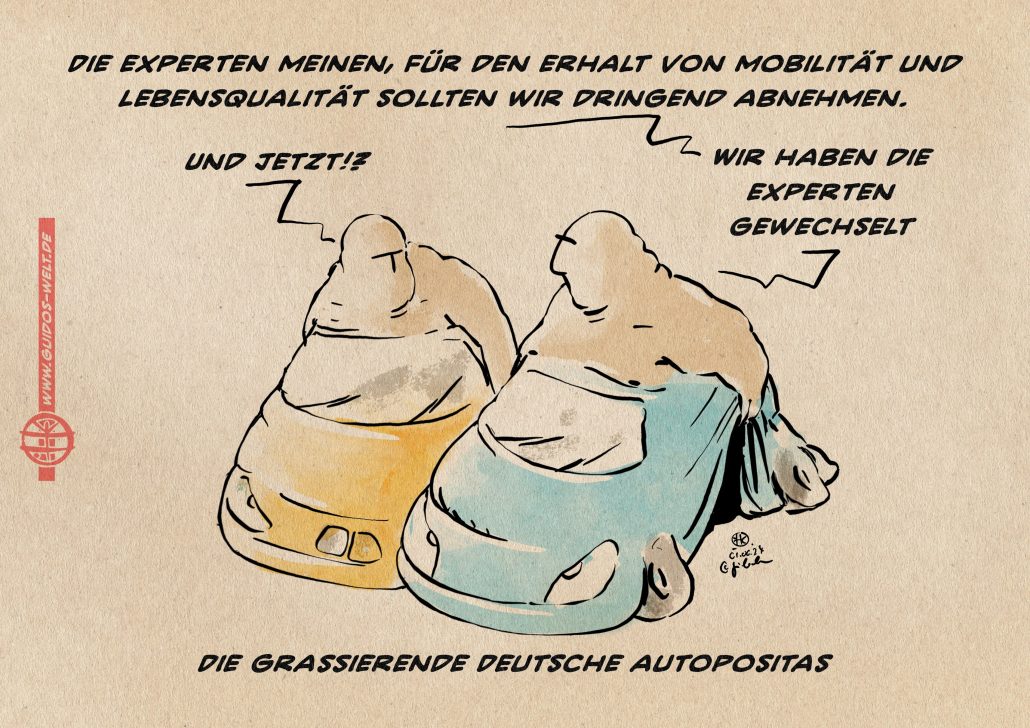 Autopositas