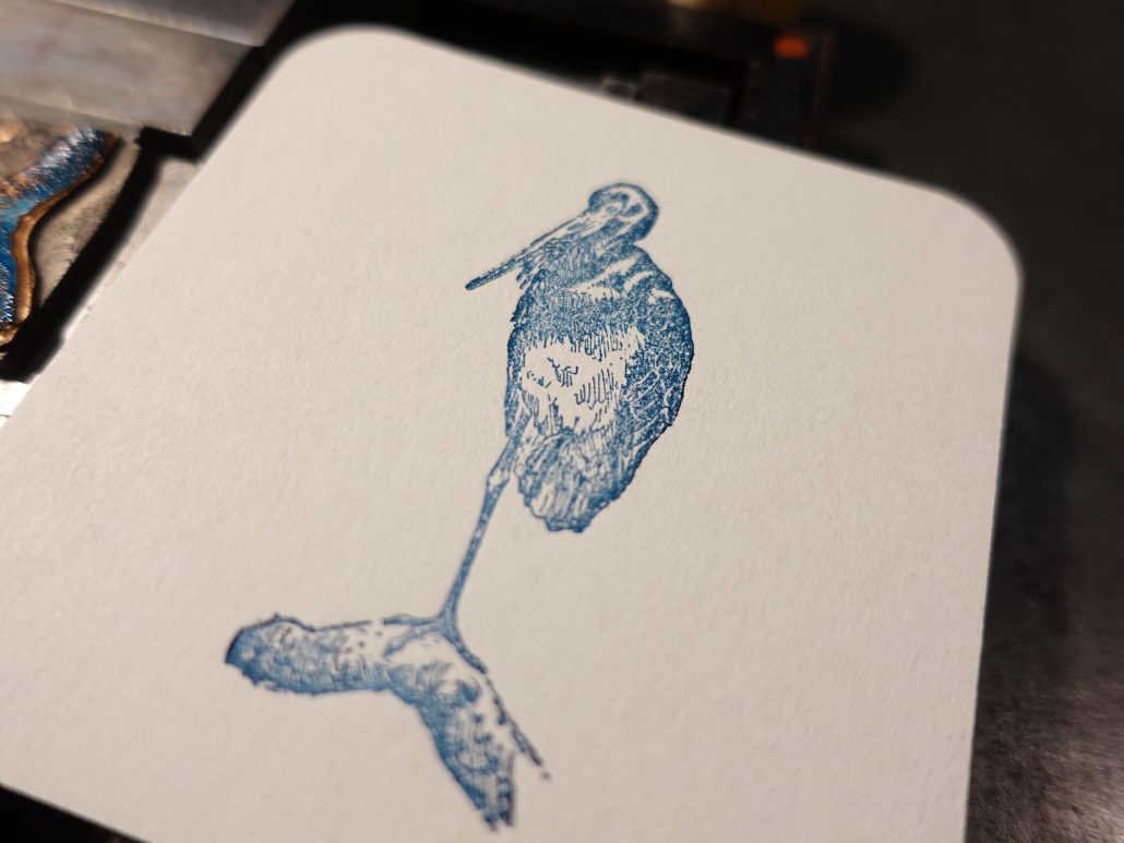 Vogelzeichnung auf Papier, detailreiche Skizze eines Vogels.