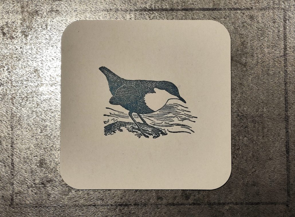 Schwarz-weiße Illustration einer Wasseramsel auf einem Stein.