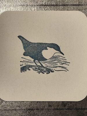 Wasseramsel