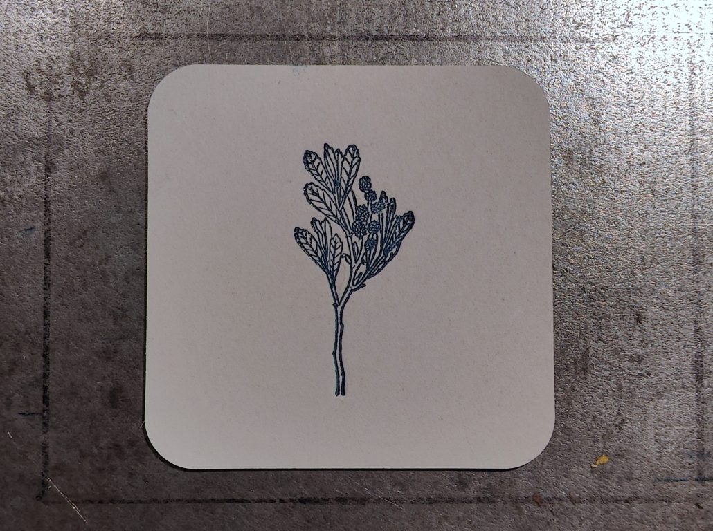 Illustration eines Gagelstrauchs auf weißem Hintergrund.