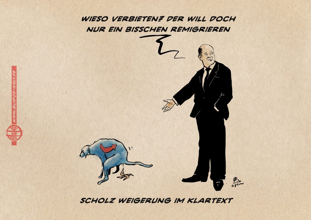 Scholz scholzt die AfD