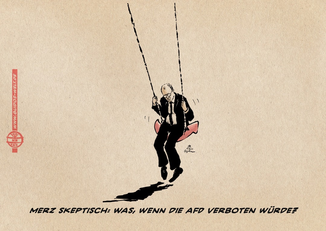 Die Skeptik des Merz