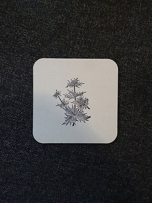 Distel