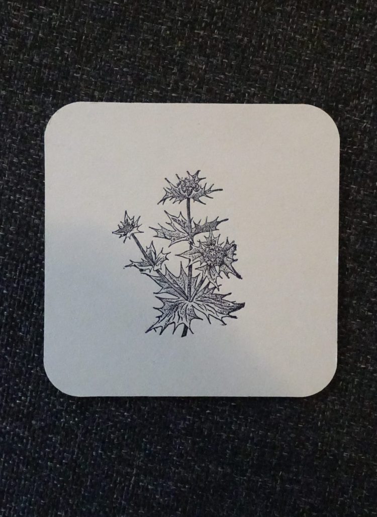 Detailaufnahme einer Distelpflanze mit stacheligen Blüten und Blättern.