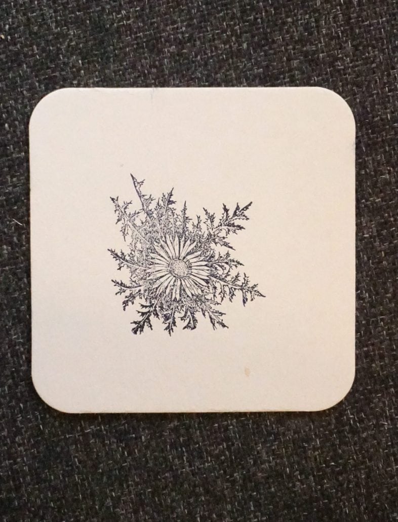 Silberdistel Illustration, detailreiche botanische Zeichnung.